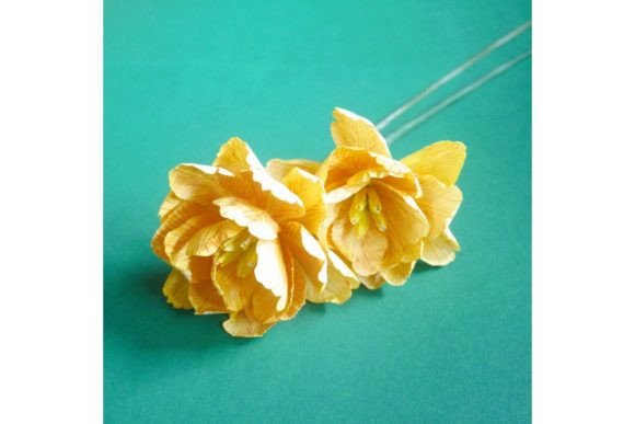 Double Dyed Dutch Tulip