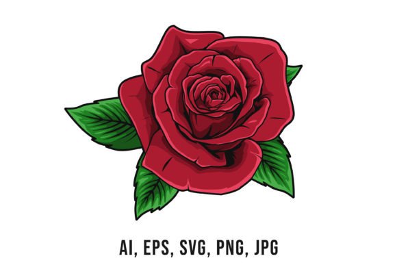 Rose Flower Vector Drawing